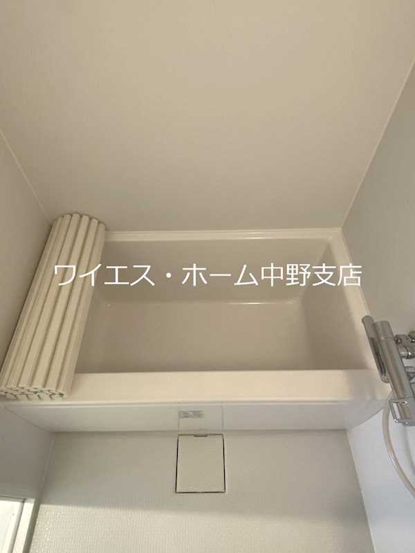 Plumeria（プルメリア） その他8