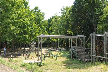 ロイヤルハイツ新高円寺 周辺画像5