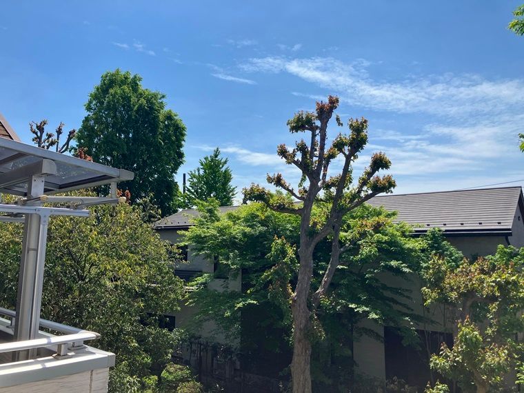 上水南町戸建 その他外観3