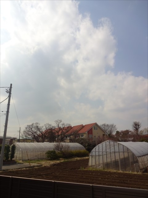 ガーデンヴィラ深大寺Ⅲ　 その他5