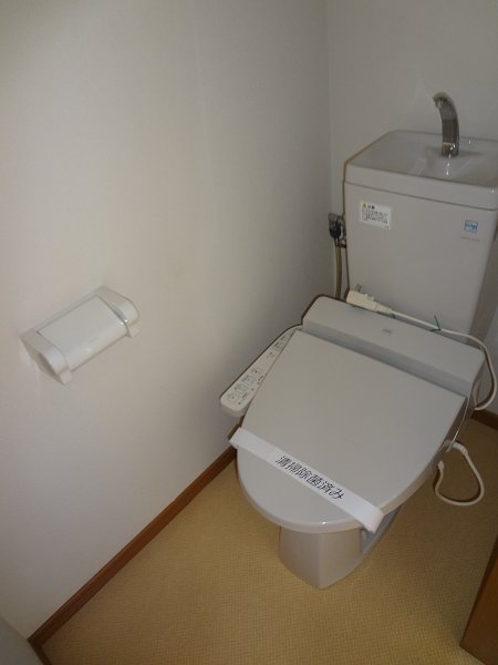 Chamomile その他3