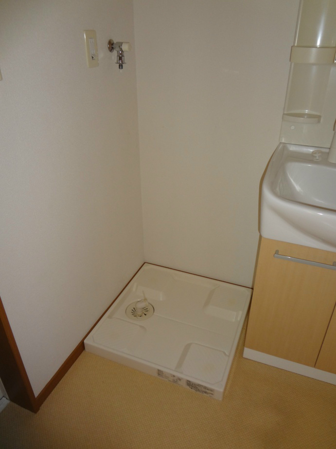 Chamomile その他4