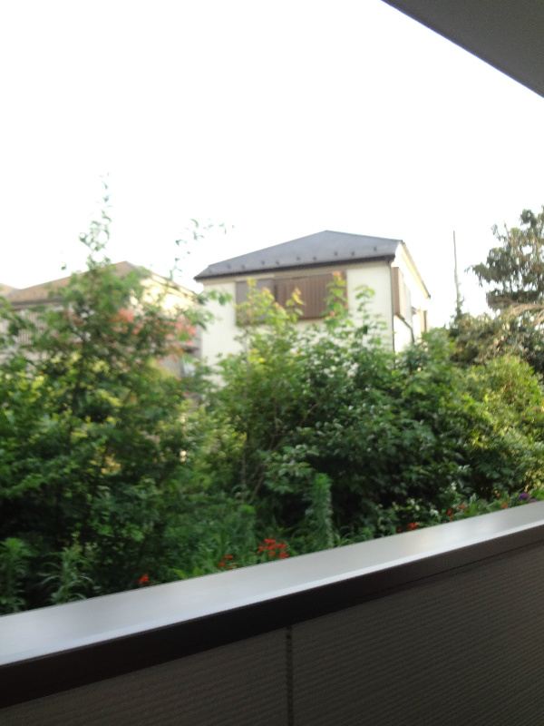 Chamomile ベランダ