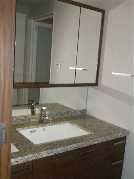 武蔵野タワーズスカイクロスタワー その他3