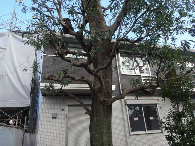 メゾン　シェーヌ その他6