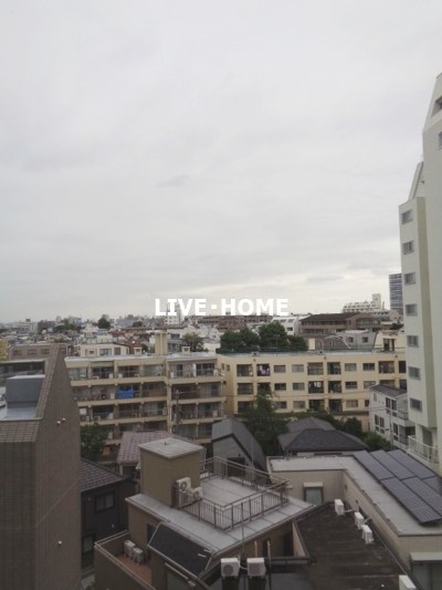 その他13