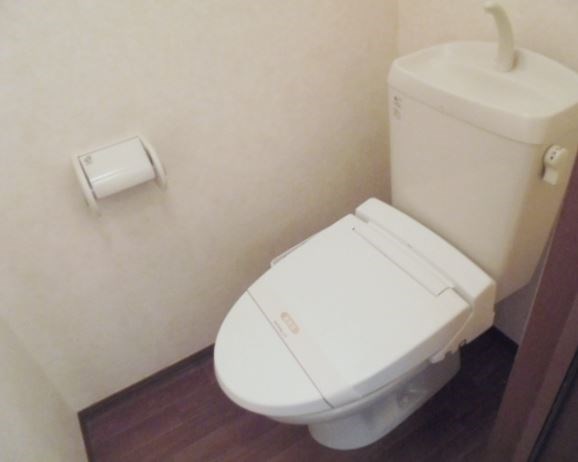 Ｇｌｏｒｙ　Ｂｒｏｏｋ その他3