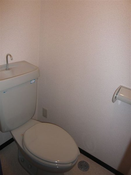 Ｐ・Ｌｉｍｅ その他2