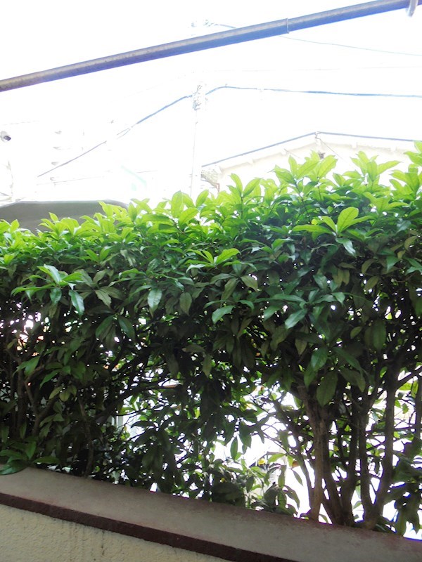 パークサイドマンション高円寺 その他6