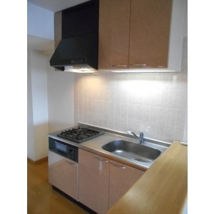 サンティール三鷹サウスウィング キッチン