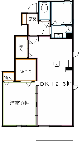 シテラデューズA  間取り