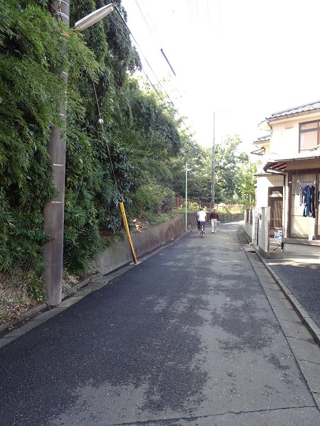 ベラ　ヴィスタ その他15