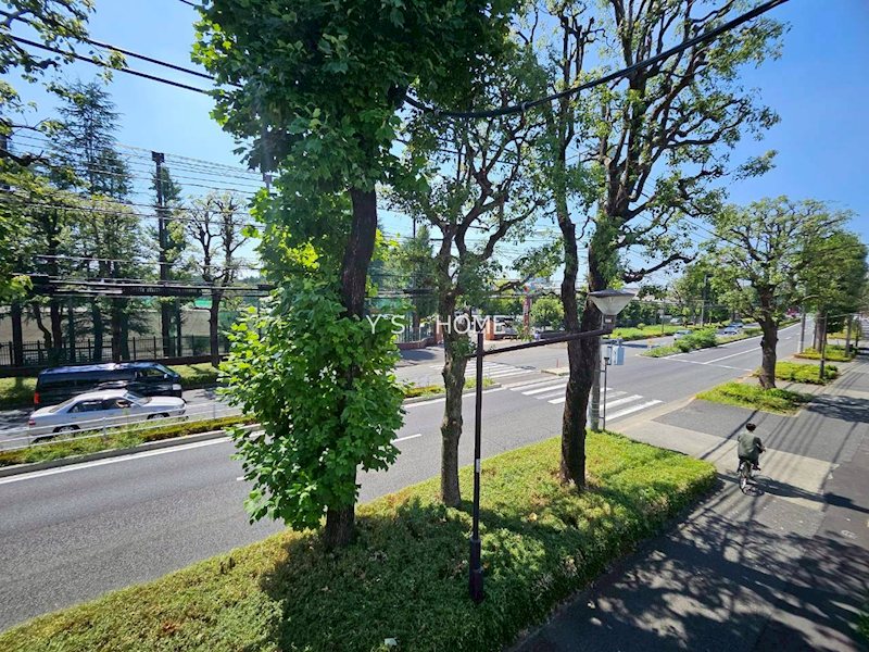 Dアセット栄町  その他5