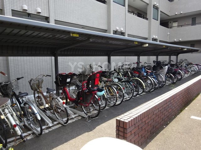 その他11