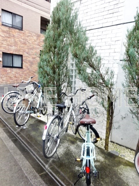 その他12