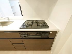 ｖｅｒｅｄａ　ｎａｋａｎｏ   その他1