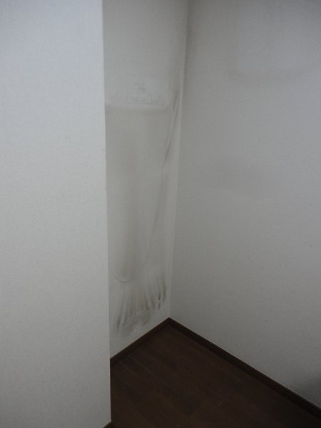 その他17