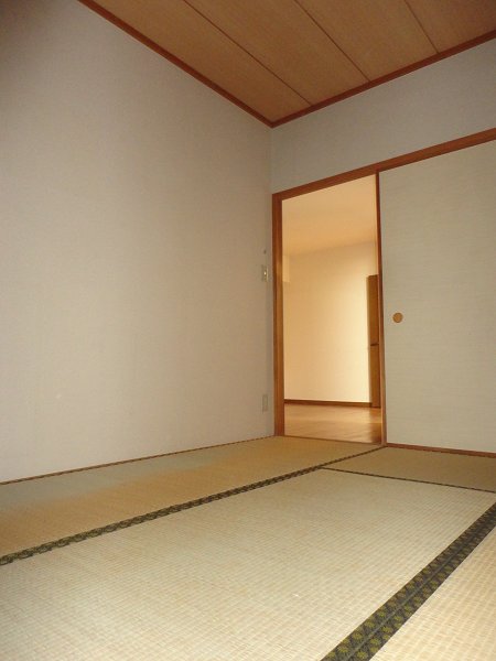 その他25