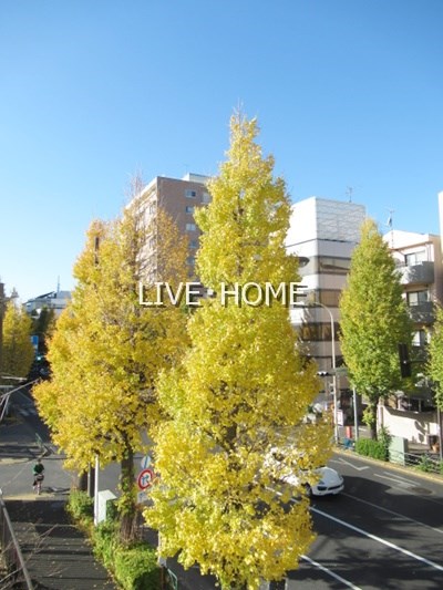 その他16