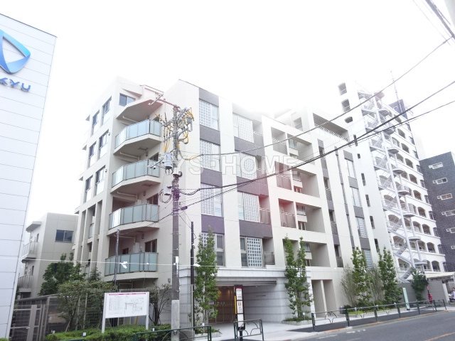 その他11