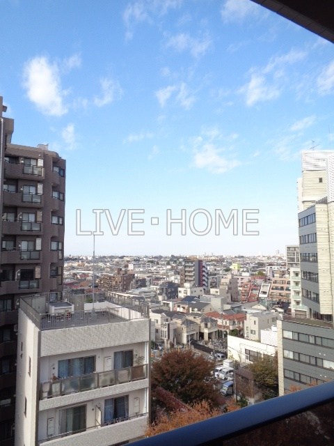 その他13