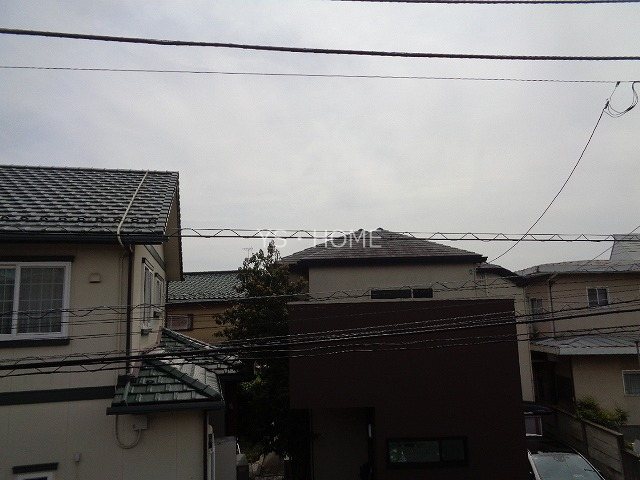 フラーゼ  その他5