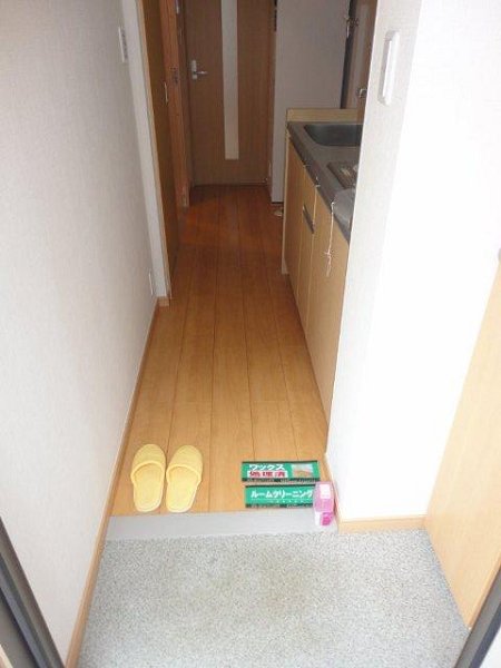 プラム 玄関