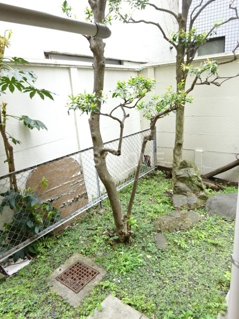 アルス荻窪ベルスーズ ベランダ