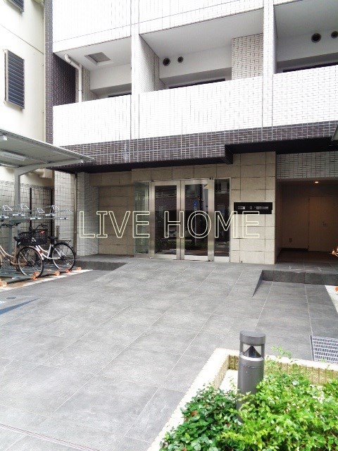 その他11