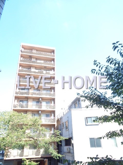その他11