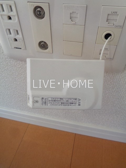 その他29