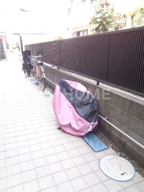 プリムローズ  その他6