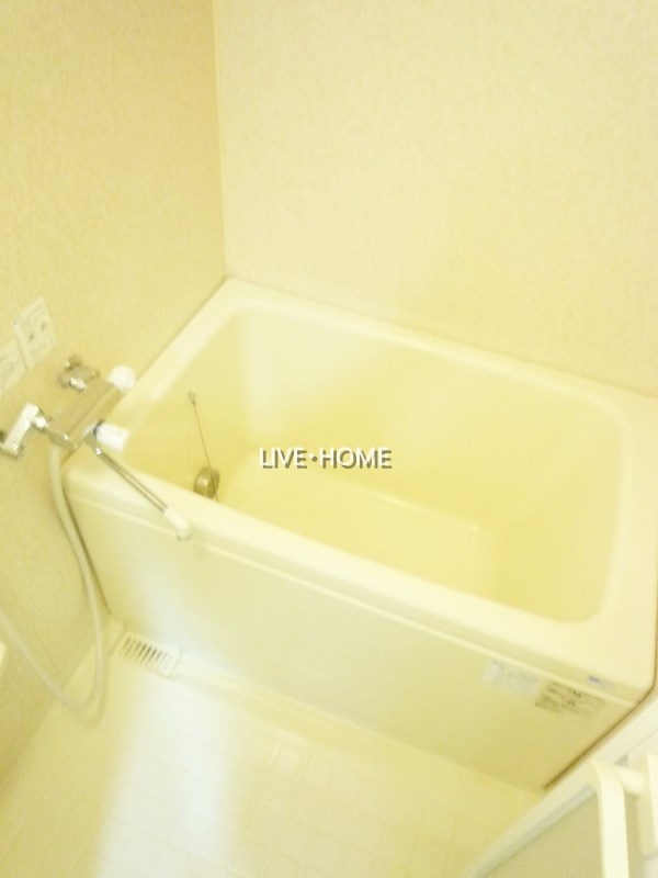 その他25