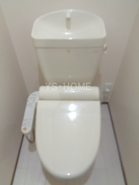コンソラータ   その他1