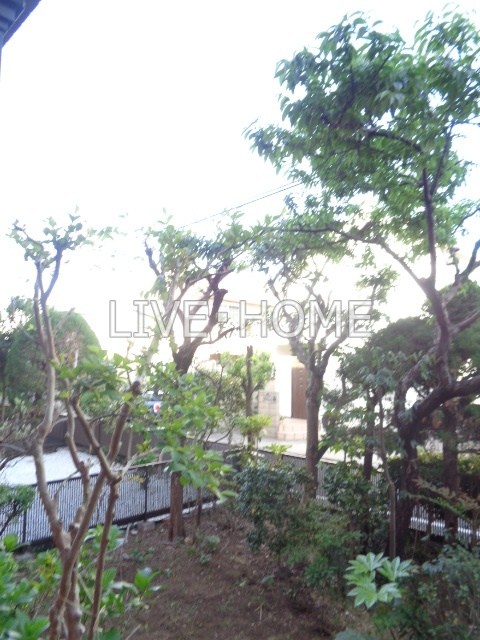 その他29