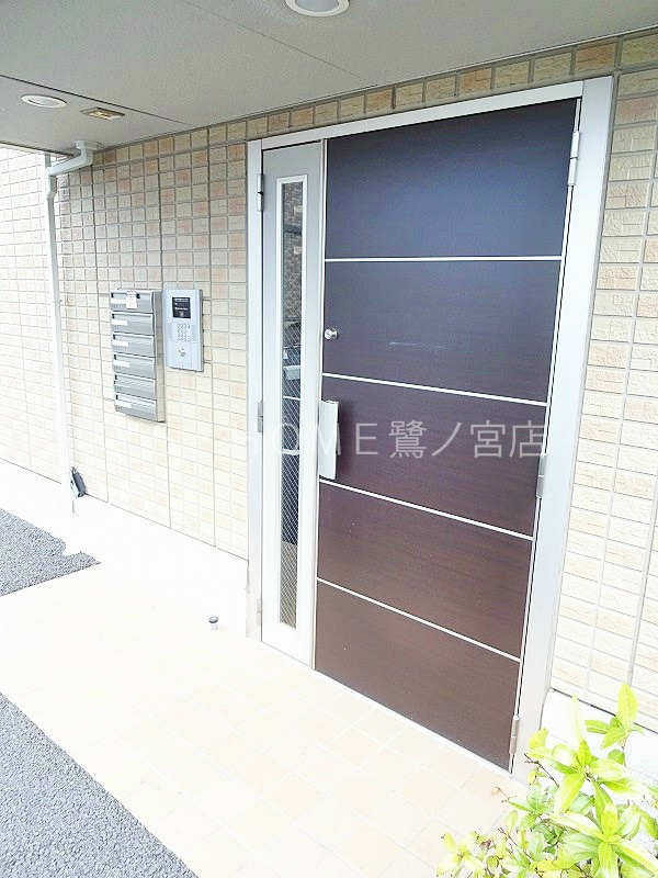 オリーブ その他6