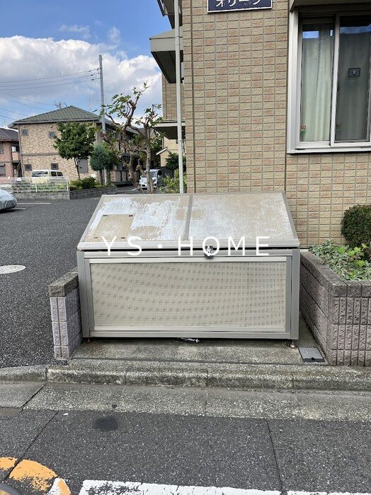 オリーブ その他7