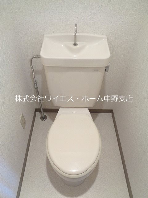 コスモフラワー  その他1