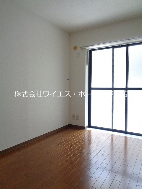 コスモフラワー  その他16
