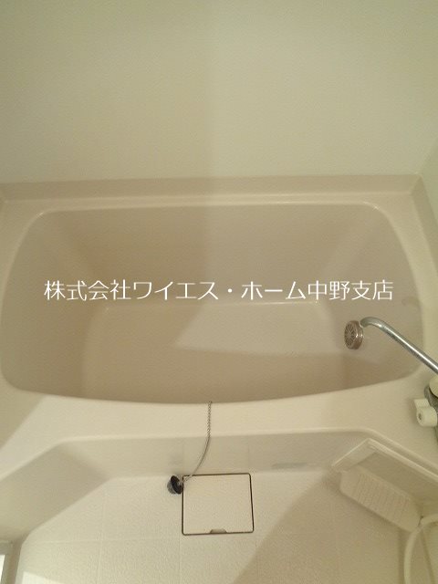 コスモフラワー  その他23