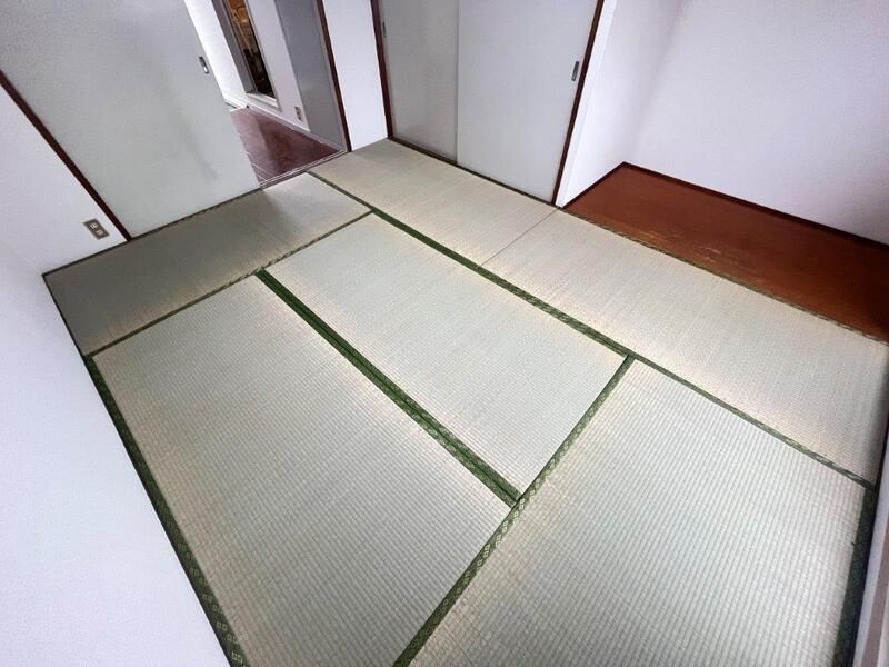 その他7