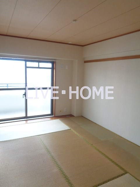 その他11