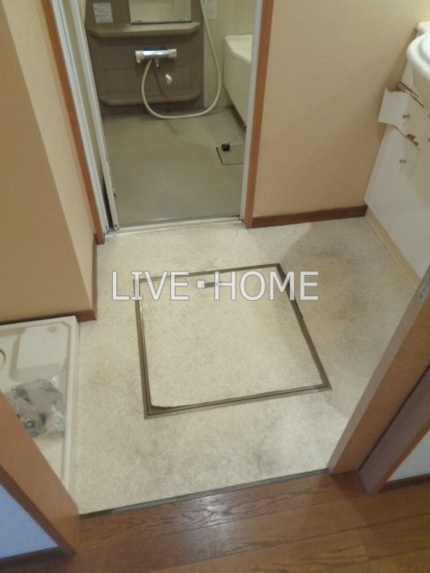 その他29