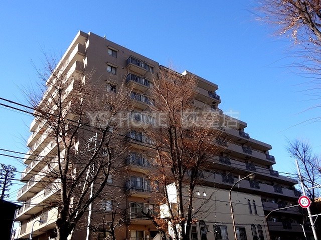 その他13