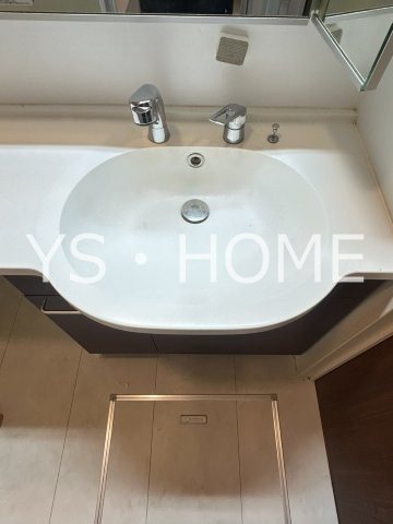カトレア　ヴィオレ その他18