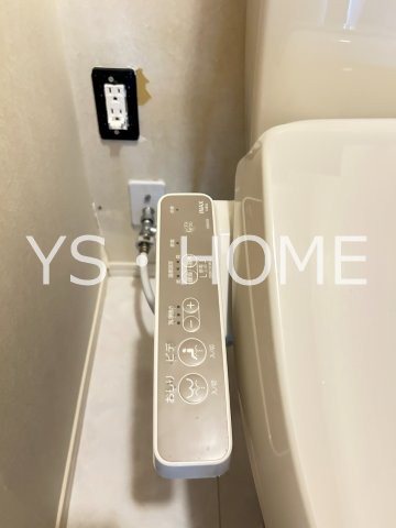カトレア　ヴィオレ その他21