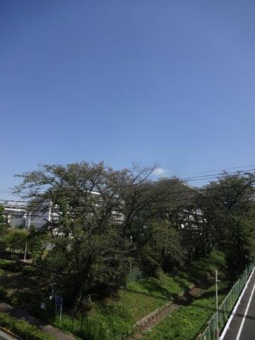 サンドルチェ その他6