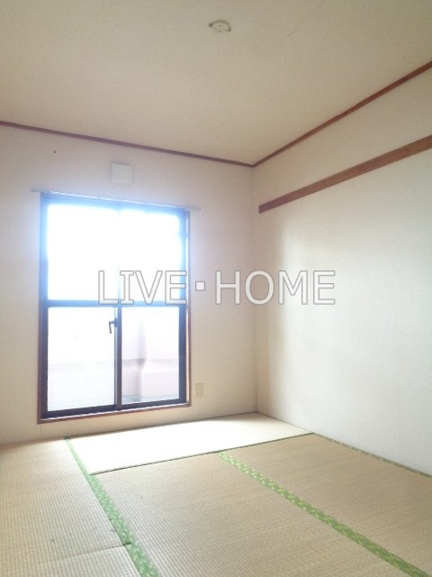 その他11