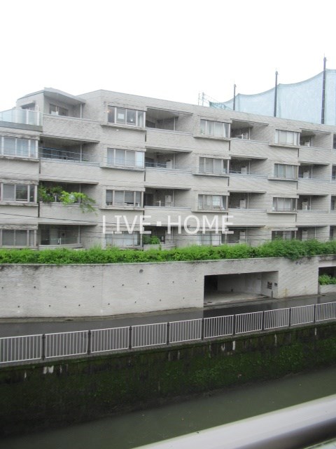 その他19