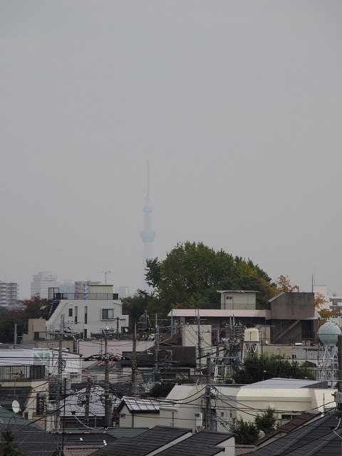 その他20